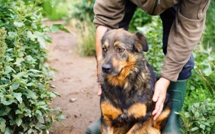 Sanny wartet auf ihr ganz eigenes Körbchen