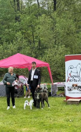 wir erwarten typvolle, freundliche und wesensfeste Welpen