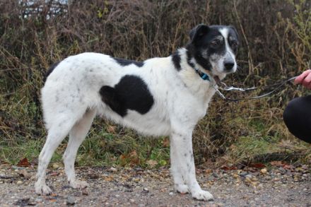 Wo sind Susus Menschen?