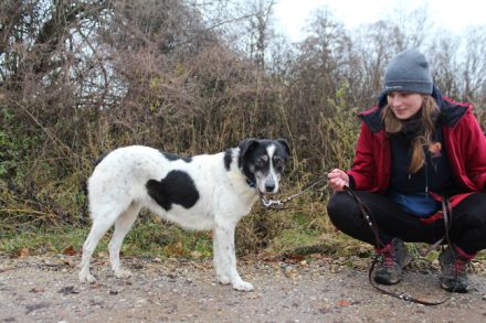 Wo sind Susus Menschen?