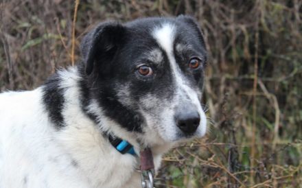 Wo sind Susus Menschen?