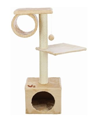 Britische Langhaar Katze