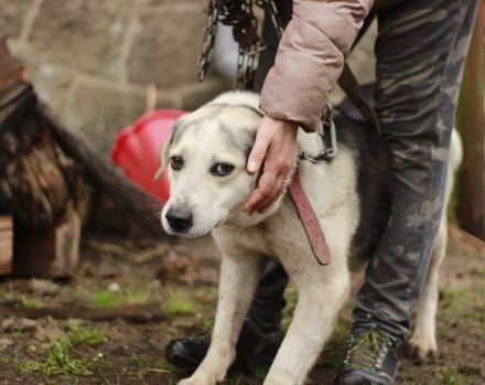 Zeigst du Silvan, dass das Leben auch schön sein kann?