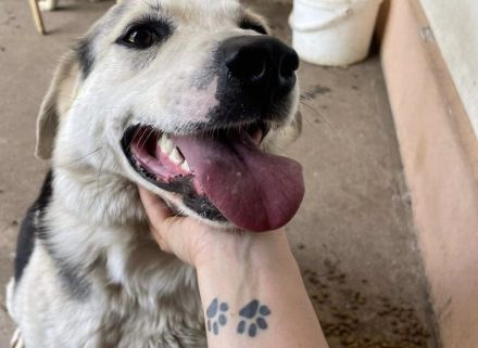 Zeigst du Silvan, dass das Leben auch schön sein kann?