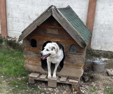 Zeigst du Silvan, dass das Leben auch schön sein kann?