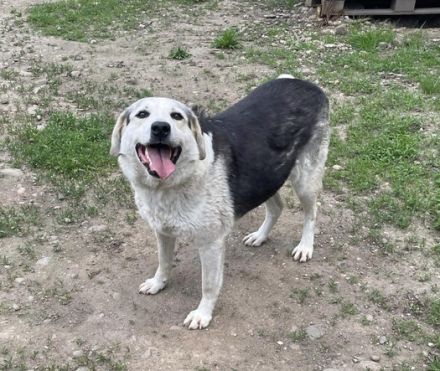 Zeigst du Silvan, dass das Leben auch schön sein kann?