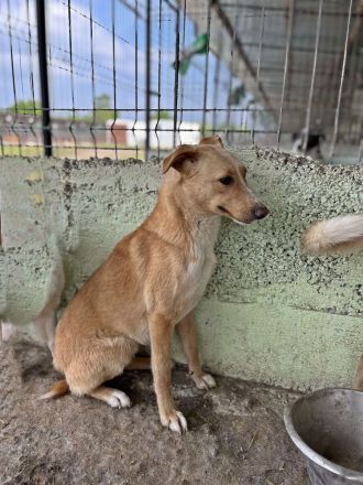 Maroon und Balou lieb und verspielt