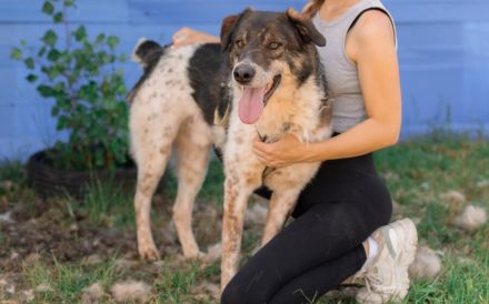 Aktiver und liebevoller Moano sucht sein Zuhause