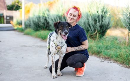 Aktiver und liebevoller Moano sucht sein Zuhause