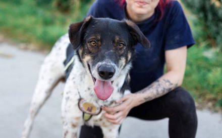 Aktiver und liebevoller Moano sucht sein Zuhause