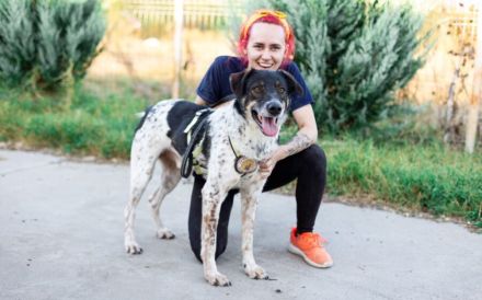 Aktiver und liebevoller Moano sucht sein Zuhause