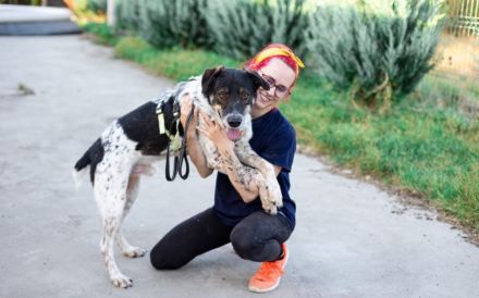 Aktiver und liebevoller Moano sucht sein Zuhause