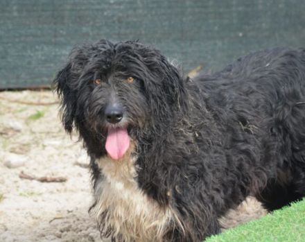 Schenkst du Sava ein Ticket ins Glück?