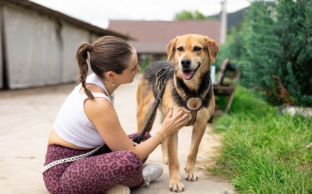 Conan sucht ein Zuhause! Adopt, don´t shop!