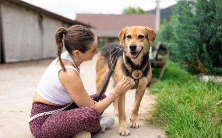 Conan sucht ein Zuhause! Adopt, don´t shop!