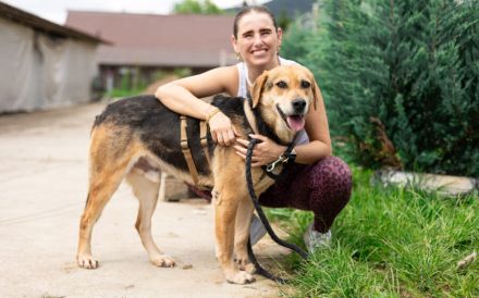 Conan sucht ein Zuhause! Adopt, don´t shop!