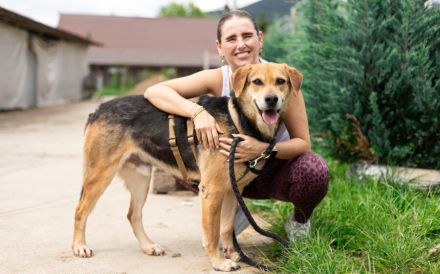 Conan sucht ein Zuhause! Adopt, don´t shop!