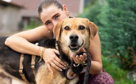 Conan sucht ein Zuhause! Adopt, don´t shop!