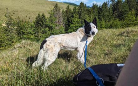 Solon will endlich ankommen!