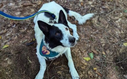 Solon will endlich ankommen!