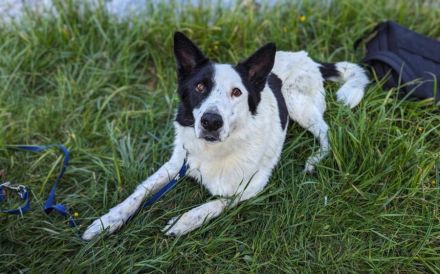 Solon will endlich ankommen!