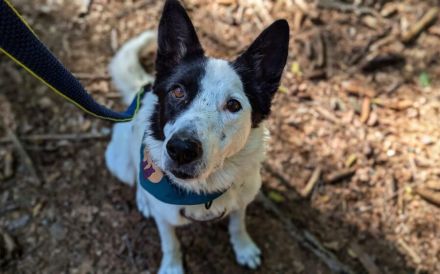 Solon will endlich ankommen!