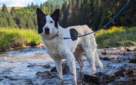 Solon will endlich ankommen!