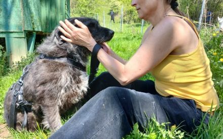 Melody sitzt im Shelter, holst du sie endlich raus?