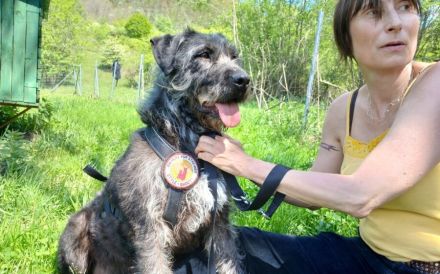 Melody sitzt im Shelter, holst du sie endlich raus?