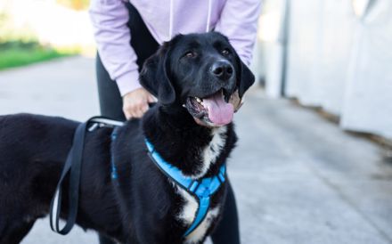 Jake Sully sucht seine eigene Familie