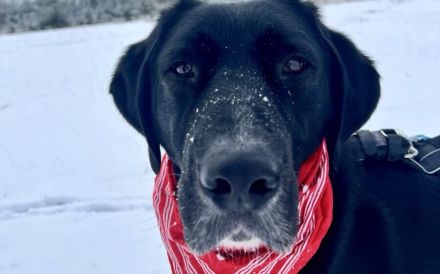 Jake Sully sucht seine eigene Familie