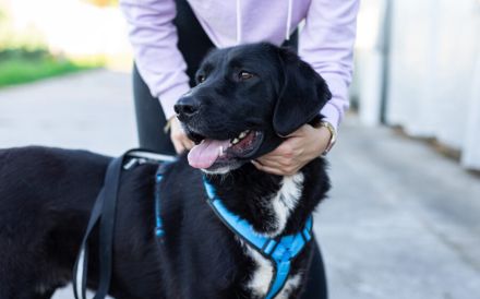 Jake Sully sucht seine eigene Familie