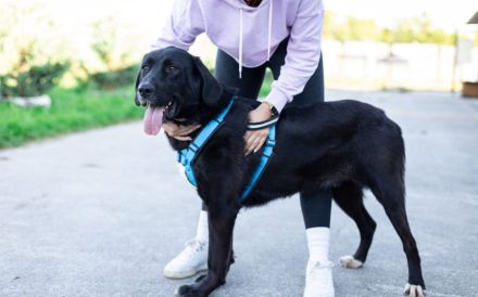 Jake Sully sucht seine eigene Familie