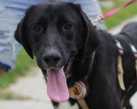 Jake Sully sucht seine eigene Familie