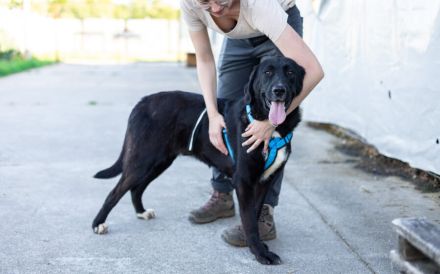 Jake Sully sucht seine eigene Familie