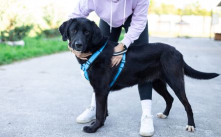 Jake Sully sucht seine eigene Familie