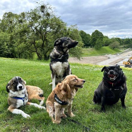 ♥️ Aramis ♥️