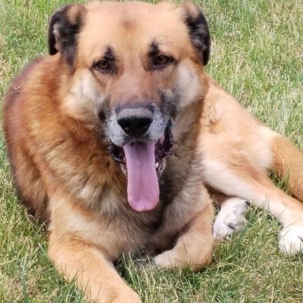 Horst wartet auf deine Anfrage