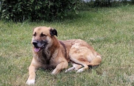 Horst wartet auf deine Anfrage