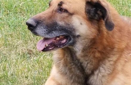 Horst wartet auf deine Anfrage