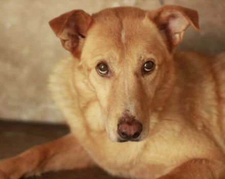 Mimi sucht geduldige Menschen!