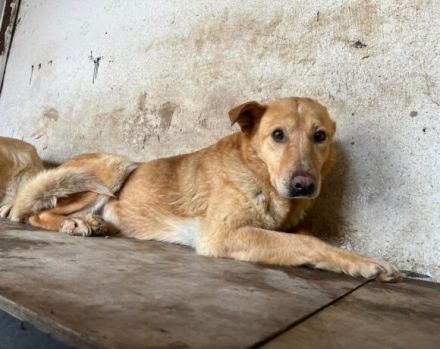 Mimi sucht geduldige Menschen!