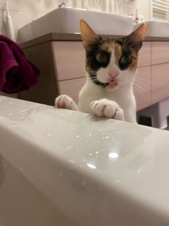 Donna, 3 Jahre, wünscht sich so sehr ein liebevolles Zuhause