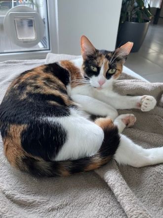 Donna, 3 Jahre, wünscht sich so sehr ein liebevolles Zuhause