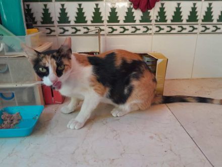 Donna, 3 Jahre, wünscht sich so sehr ein liebevolles Zuhause