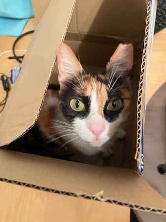 Donna, 3 Jahre, wünscht sich so sehr ein liebevolles Zuhause