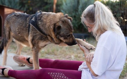 Tikaani sucht ein neues, liebevolles Zuhause