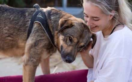Tikaani sucht ein neues, liebevolles Zuhause