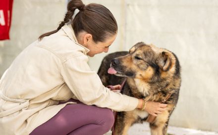 Tikaani sucht ein neues, liebevolles Zuhause