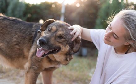 Tikaani sucht ein neues, liebevolles Zuhause